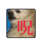 璃空とぽんずと愉快な仲間たち2（個別スタンプ：21）