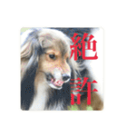 璃空とぽんずと愉快な仲間たち2（個別スタンプ：24）