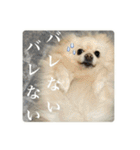 璃空とぽんずと愉快な仲間たち2（個別スタンプ：25）