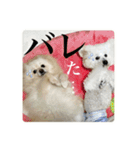 璃空とぽんずと愉快な仲間たち2（個別スタンプ：26）