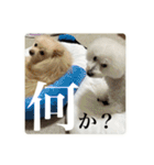 璃空とぽんずと愉快な仲間たち2（個別スタンプ：28）