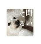 璃空とぽんずと愉快な仲間たち2（個別スタンプ：29）