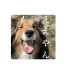 璃空とぽんずと愉快な仲間たち2（個別スタンプ：34）