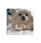 璃空とぽんずと愉快な仲間たち2（個別スタンプ：35）