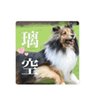 璃空とぽんずと愉快な仲間たち2（個別スタンプ：38）