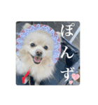 璃空とぽんずと愉快な仲間たち2（個別スタンプ：39）