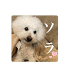 璃空とぽんずと愉快な仲間たち2（個別スタンプ：40）