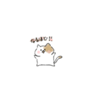 ねこずんちゃっちゃ！！（個別スタンプ：14）