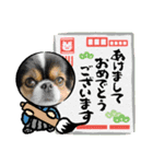 無敵わんちゃんSERA④（個別スタンプ：1）
