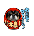 無敵わんちゃんSERA④（個別スタンプ：4）