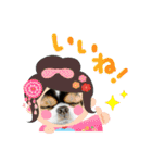 無敵わんちゃんSERA④（個別スタンプ：8）