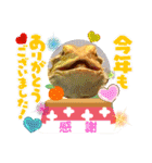 我太郎ちゃんの『年末年始ご挨拶』スタンプ（個別スタンプ：1）