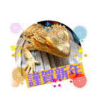 我太郎ちゃんの『年末年始ご挨拶』スタンプ（個別スタンプ：9）