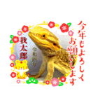 我太郎ちゃんの『年末年始ご挨拶』スタンプ（個別スタンプ：13）