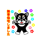 黒柴犬 福（個別スタンプ：1）