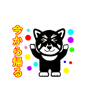 黒柴犬 福（個別スタンプ：2）