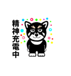 黒柴犬 福（個別スタンプ：3）