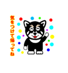 黒柴犬 福（個別スタンプ：5）