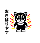 黒柴犬 福（個別スタンプ：6）
