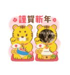 虎吉福島7（個別スタンプ：1）
