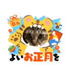 虎吉福島7（個別スタンプ：4）