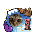虎吉福島7（個別スタンプ：5）