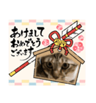 虎吉福島7（個別スタンプ：6）