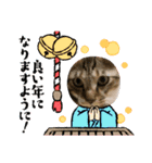 虎吉福島7（個別スタンプ：7）