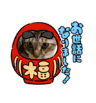 虎吉福島7（個別スタンプ：8）