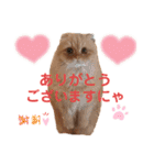龍吉がゆく2（個別スタンプ：2）