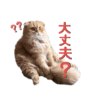 龍吉がゆく2（個別スタンプ：10）