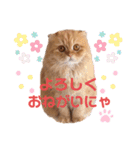 龍吉がゆく2（個別スタンプ：13）