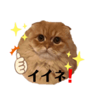 龍吉がゆく2（個別スタンプ：14）