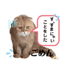 龍吉がゆく2（個別スタンプ：15）