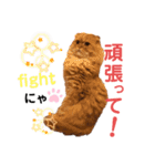 龍吉がゆく2（個別スタンプ：17）