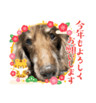 ちゅりんぼあけおめ（個別スタンプ：5）