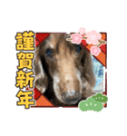 ちゅりんぼあけおめ（個別スタンプ：6）