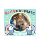 ちゅりんぼあけおめ（個別スタンプ：7）