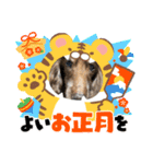 ちゅりんぼあけおめ（個別スタンプ：13）