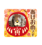 ちゅりんぼあけおめ（個別スタンプ：16）