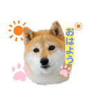 Tumuさんの日常③（個別スタンプ：1）