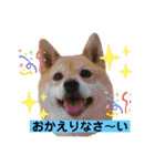 Tumuさんの日常③（個別スタンプ：2）