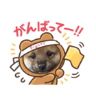 Tumuさんの日常③（個別スタンプ：7）