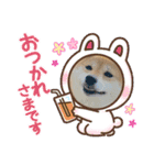 Tumuさんの日常③（個別スタンプ：12）