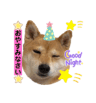 Tumuさんの日常③（個別スタンプ：20）
