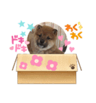 Tumuさんの日常③（個別スタンプ：21）