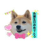 Tumuさんの日常③（個別スタンプ：22）