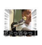 龍ちゃんのスタンプ♡（個別スタンプ：3）