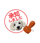 Jay #02（個別スタンプ：6）