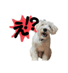 Jay #02（個別スタンプ：13）